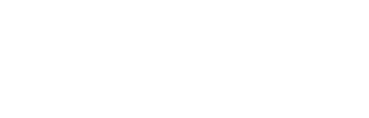Digital Finance Group