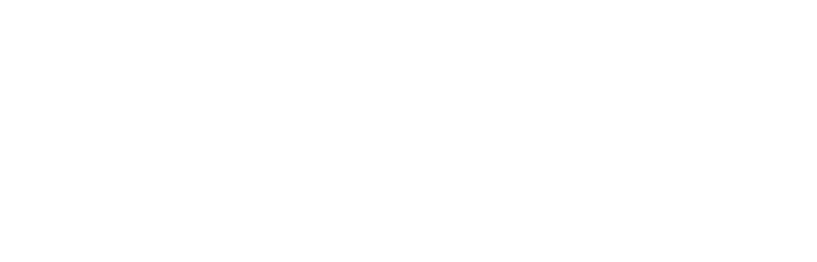 LDC EU (LianLian Group)