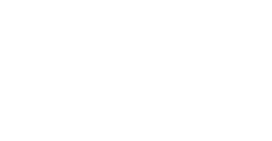 Bitcoin Treasuries