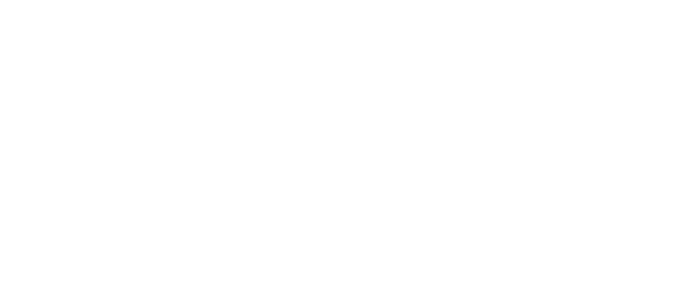 Raptor Digital