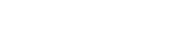 Input logo