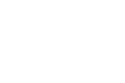 N3T logo
