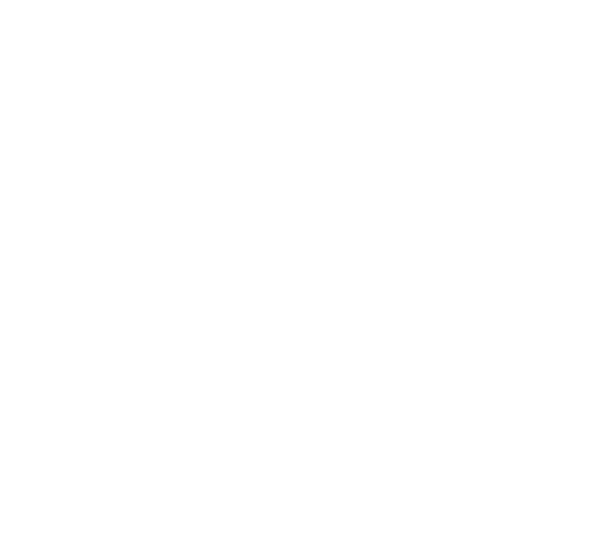 Stablecoin Insider logo