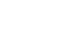 Stablecoin Insider logo