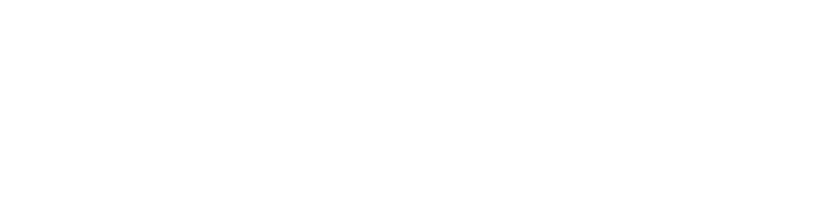 INPUT