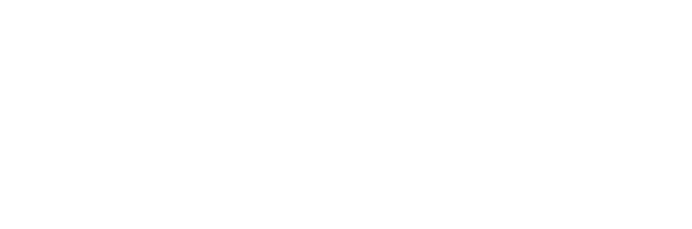SFI Group