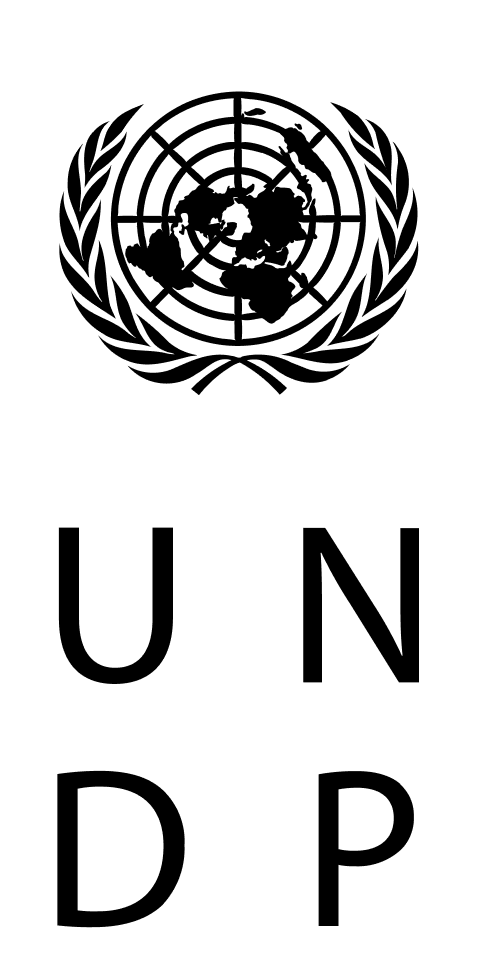 UNDP AltFinLab
