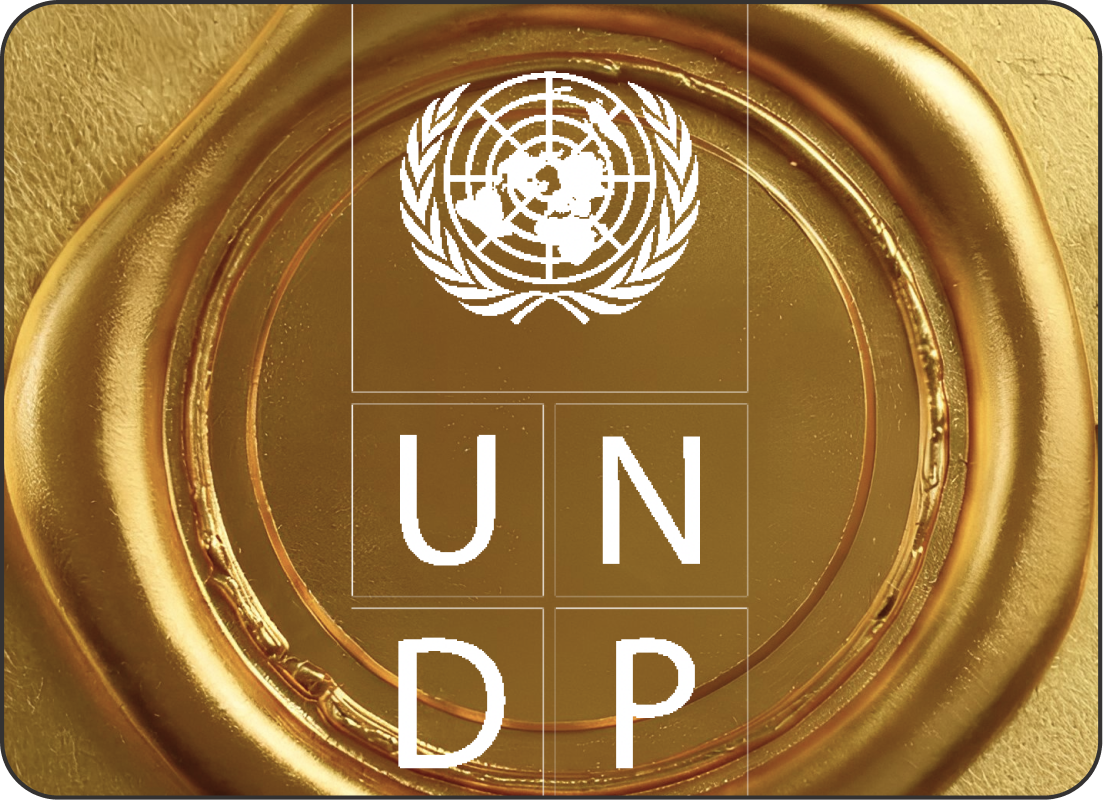 UNDP