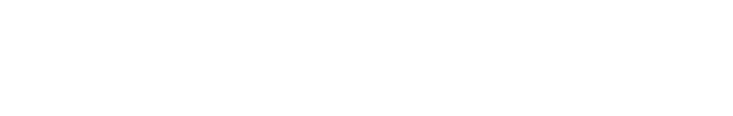 Stephan Lutz company