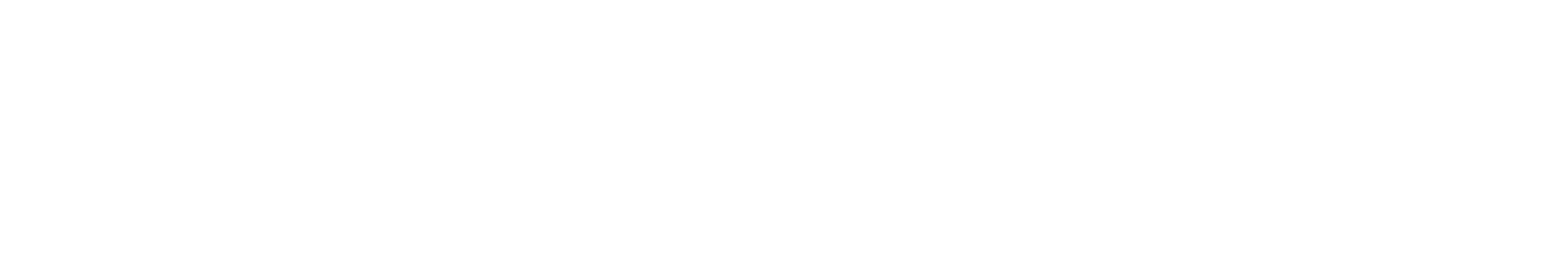 Stani Kulechov company